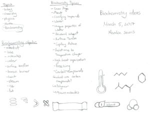 Biochemistry Study Guide created for students | Monika Szucs