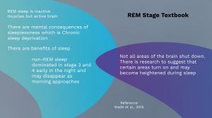 REM stage Dreams Psychology Prezi Presentation for BCIT Psyc 1101 | Monika Szucs