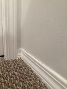 Behr Premium Trim White Paint | Monika Szucs WestJet