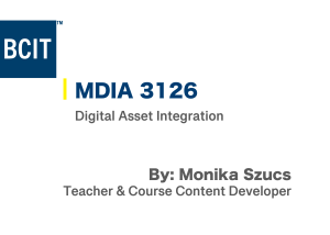 Digital Asset Integration | Digital Design and Development Diploma | BCIT | Monika Szucs