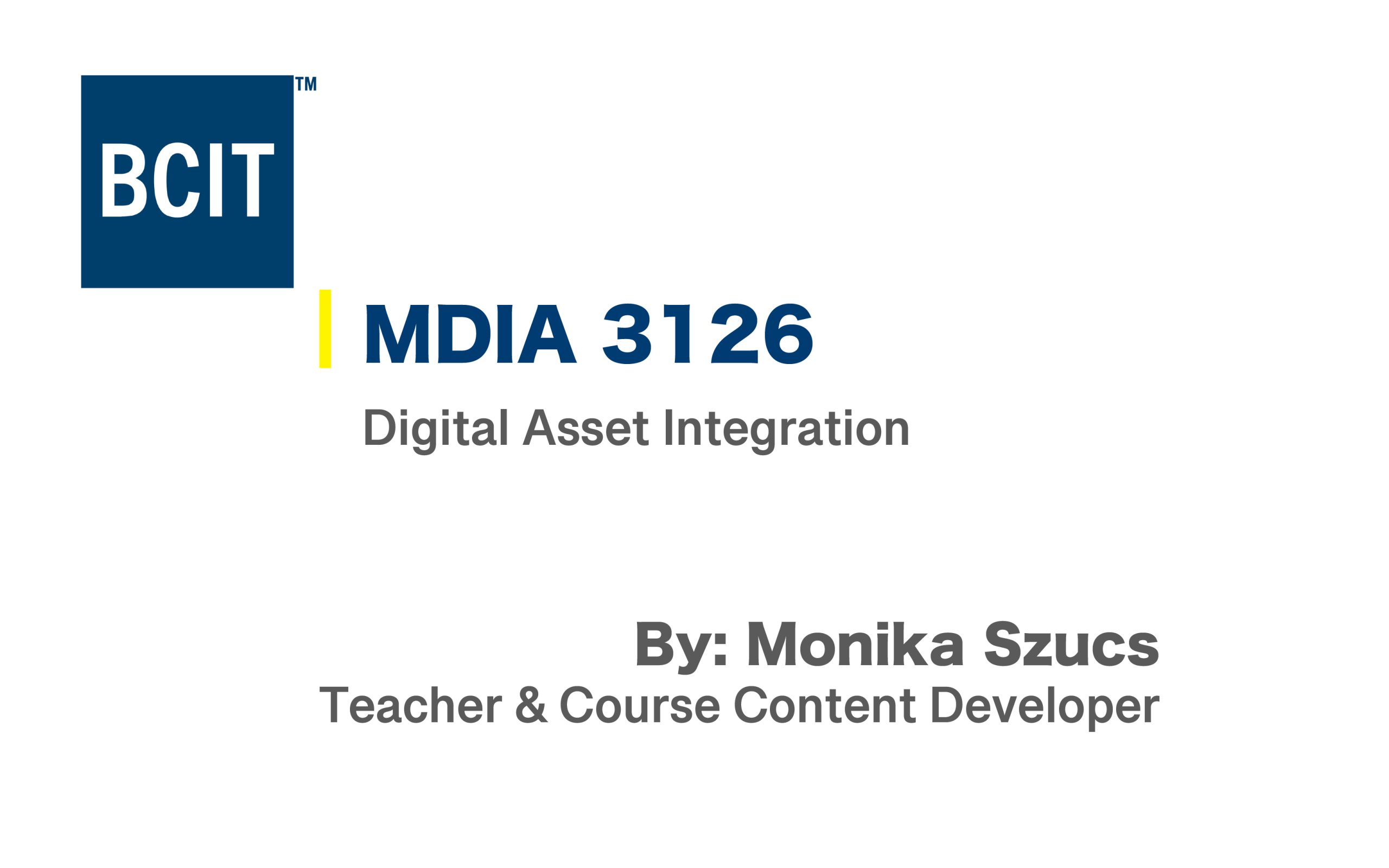 Digital Asset Integration | Digital Design and Development Diploma | BCIT | Monika Szucs